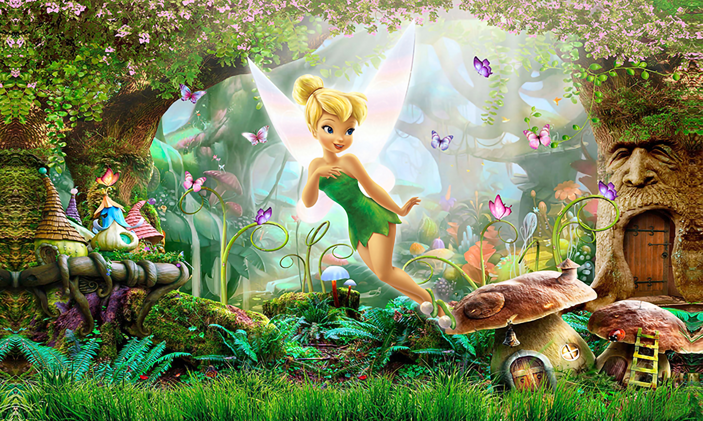 Painel 3 x 5 m Tinker Bell 